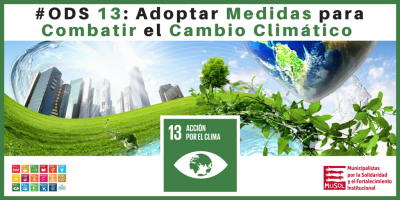 #ODS 13 - Cambio Climático - Fundación MUSOL